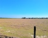 LAKE BUFFUM ROAD, FORT MEADE, Florida 33841, ,Land,For Sale,LAKE BUFFUM,B4900957