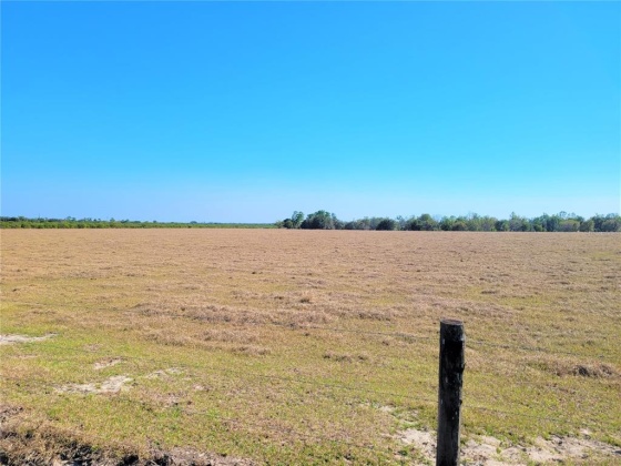 LAKE BUFFUM ROAD, FORT MEADE, Florida 33841, ,Land,For Sale,LAKE BUFFUM,B4900957