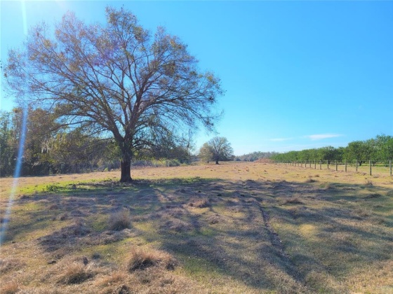 LAKE BUFFUM ROAD, FORT MEADE, Florida 33841, ,Land,For Sale,LAKE BUFFUM,B4900957