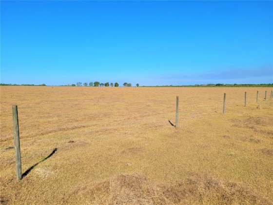 LAKE BUFFUM ROAD, FORT MEADE, Florida 33841, ,Land,For Sale,LAKE BUFFUM,B4900957