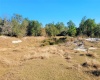 LAKE BUFFUM ROAD, FORT MEADE, Florida 33841, ,Land,For Sale,LAKE BUFFUM,B4900957