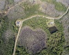 704 HIDDEN PALMS DRIVE, DAVENPORT, Florida 33897, ,Land,For Sale,HIDDEN PALMS,O6009950