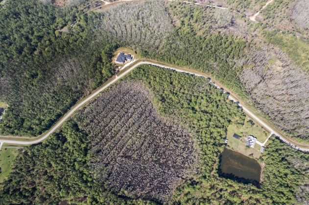 704 HIDDEN PALMS DRIVE, DAVENPORT, Florida 33897, ,Land,For Sale,HIDDEN PALMS,O6009950