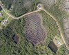 704 HIDDEN PALMS DRIVE, DAVENPORT, Florida 33897, ,Land,For Sale,HIDDEN PALMS,O6009950