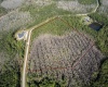 704 HIDDEN PALMS DRIVE, DAVENPORT, Florida 33897, ,Land,For Sale,HIDDEN PALMS,O6009950