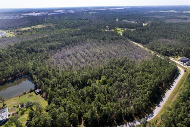 704 HIDDEN PALMS DRIVE, DAVENPORT, Florida 33897, ,Land,For Sale,HIDDEN PALMS,O6009950