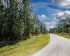 704 HIDDEN PALMS DRIVE, DAVENPORT, Florida 33897, ,Land,For Sale,HIDDEN PALMS,O6009950