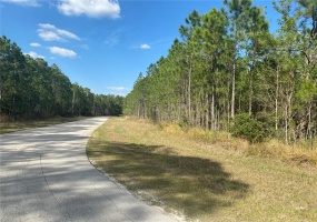 704 HIDDEN PALMS DRIVE, DAVENPORT, Florida 33897, ,Land,For Sale,HIDDEN PALMS,O6009950