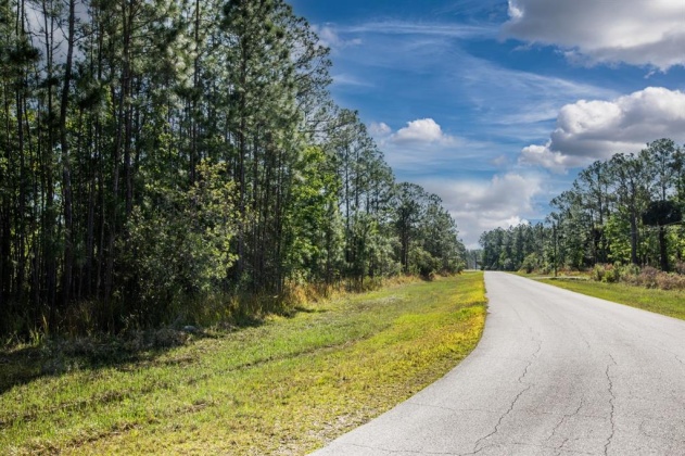 704 HIDDEN PALMS DRIVE, DAVENPORT, Florida 33897, ,Land,For Sale,HIDDEN PALMS,O6009950