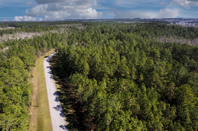 704 HIDDEN PALMS DRIVE, DAVENPORT, Florida 33897, ,Land,For Sale,HIDDEN PALMS,O6009950