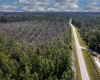 704 HIDDEN PALMS DRIVE, DAVENPORT, Florida 33897, ,Land,For Sale,HIDDEN PALMS,O6009950