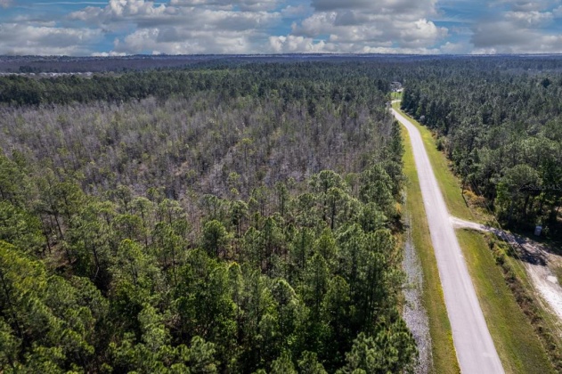 704 HIDDEN PALMS DRIVE, DAVENPORT, Florida 33897, ,Land,For Sale,HIDDEN PALMS,O6009950