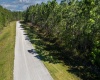 704 HIDDEN PALMS DRIVE, DAVENPORT, Florida 33897, ,Land,For Sale,HIDDEN PALMS,O6009950