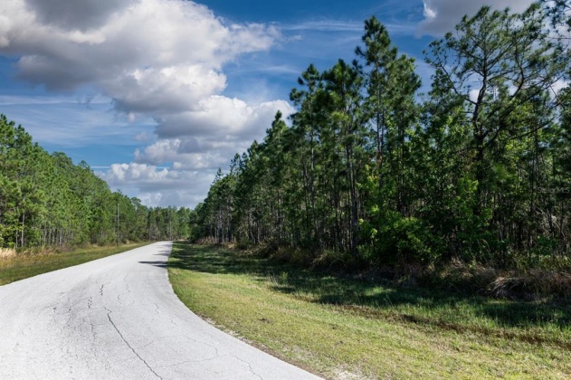 704 HIDDEN PALMS DRIVE, DAVENPORT, Florida 33897, ,Land,For Sale,HIDDEN PALMS,O6009950
