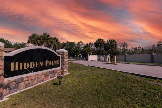 704 HIDDEN PALMS DRIVE, DAVENPORT, Florida 33897, ,Land,For Sale,HIDDEN PALMS,O6009950