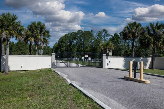 704 HIDDEN PALMS DRIVE, DAVENPORT, Florida 33897, ,Land,For Sale,HIDDEN PALMS,O6009950