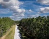 704 HIDDEN PALMS DRIVE, DAVENPORT, Florida 33897, ,Land,For Sale,HIDDEN PALMS,O6009950