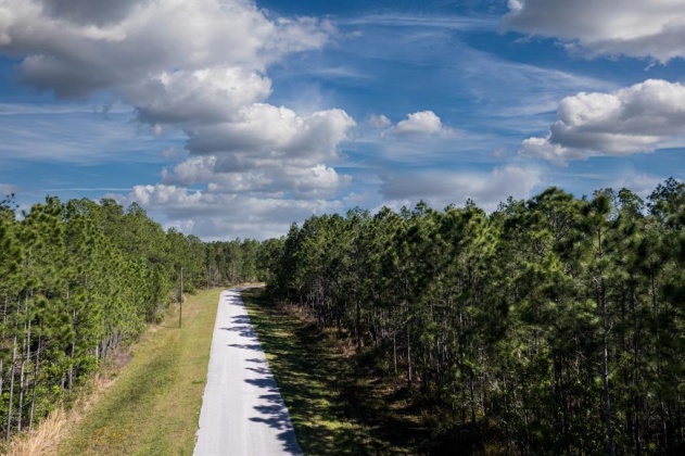 704 HIDDEN PALMS DRIVE, DAVENPORT, Florida 33897, ,Land,For Sale,HIDDEN PALMS,O6009950