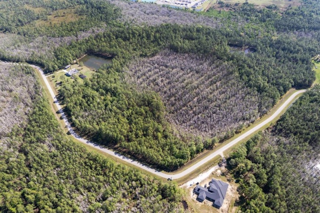704 HIDDEN PALMS DRIVE, DAVENPORT, Florida 33897, ,Land,For Sale,HIDDEN PALMS,O6009950