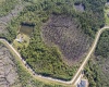 704 HIDDEN PALMS DRIVE, DAVENPORT, Florida 33897, ,Land,For Sale,HIDDEN PALMS,O6009950