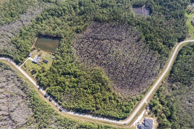 704 HIDDEN PALMS DRIVE, DAVENPORT, Florida 33897, ,Land,For Sale,HIDDEN PALMS,O6009950