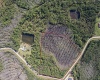 704 HIDDEN PALMS DRIVE, DAVENPORT, Florida 33897, ,Land,For Sale,HIDDEN PALMS,O6009950