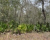 413 RAINBOW COURT, POINCIANA, Florida 34759, ,Land,For Sale,RAINBOW,O6010038