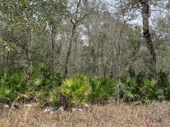 413 RAINBOW COURT, POINCIANA, Florida 34759, ,Land,For Sale,RAINBOW,O6010038