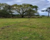 5720 RUSSO ROAD, BARTOW, Florida 33830, ,Land,For Sale,RUSSO,T3360167