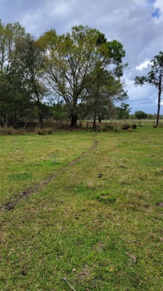 5720 RUSSO ROAD, BARTOW, Florida 33830, ,Land,For Sale,RUSSO,T3360167