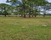 5720 RUSSO ROAD, BARTOW, Florida 33830, ,Land,For Sale,RUSSO,T3360167