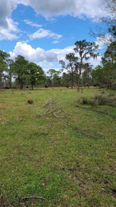 5720 RUSSO ROAD, BARTOW, Florida 33830, ,Land,For Sale,RUSSO,T3360167