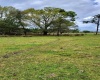 5720 RUSSO ROAD, BARTOW, Florida 33830, ,Land,For Sale,RUSSO,T3360167