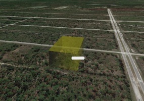 320 TROPICANA DRIVE, INDIAN LAKE ESTATES, Florida 33855, ,Land,For Sale,TROPICANA,O6010114