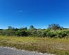 520 ALLAMANDA DRIVE, INDIAN LAKE ESTATES, Florida 33855, ,Land,For Sale,ALLAMANDA,O6001819