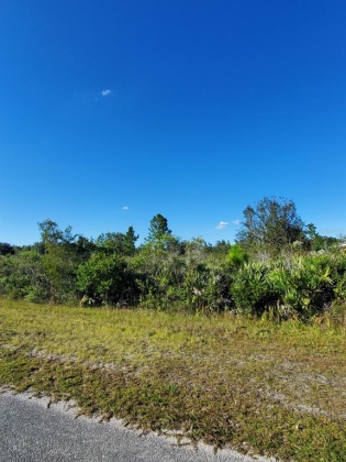 520 ALLAMANDA DRIVE, INDIAN LAKE ESTATES, Florida 33855, ,Land,For Sale,ALLAMANDA,O6001819