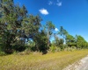 312 CAMELLIA DRIVE, INDIAN LAKE ESTATES, Florida 33855, ,Land,For Sale,CAMELLIA,O6001878