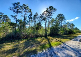 520 MAGNOLIA DRIVE, INDIAN LAKE ESTATES, Florida 33855, ,Land,For Sale,MAGNOLIA,O6001882