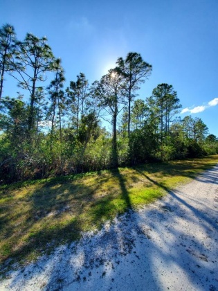 520 MAGNOLIA DRIVE, INDIAN LAKE ESTATES, Florida 33855, ,Land,For Sale,MAGNOLIA,O6001882