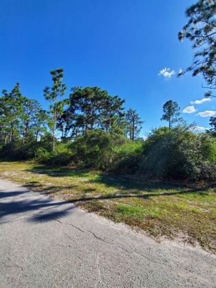 513 POINCIANA DRIVE, INDIAN LAKE ESTATES, Florida 33855, ,Land,For Sale,POINCIANA,O6001884