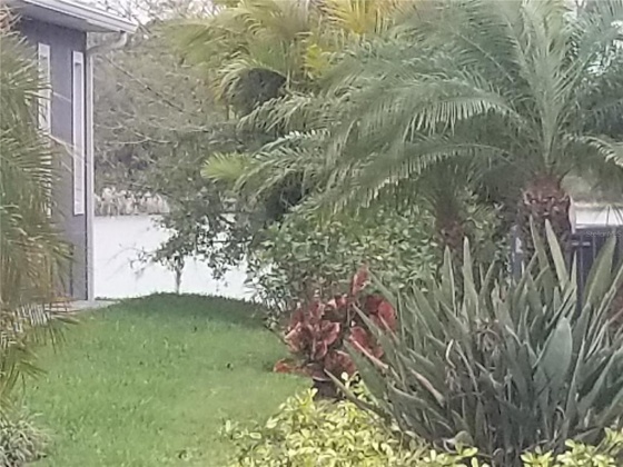745 MEANDERING WAY, POLK CITY, Florida 33868, ,Land,For Sale,MEANDERING,U8155035