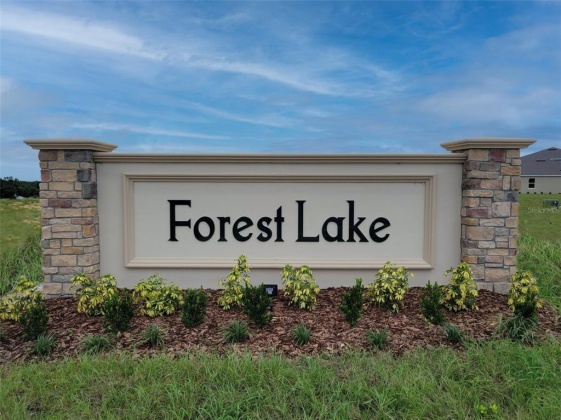 1784 BUCKEYE ROAD, DAVENPORT, Florida 33837, 3 Bedrooms Bedrooms, ,2 BathroomsBathrooms,Residential,For Sale,BUCKEYE,O6010550