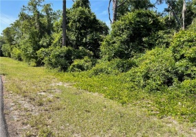 DEER ROAD, FROSTPROOF, Florida 33843, ,Land,For Sale,DEER,P4915288