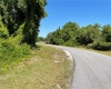 DEER ROAD, FROSTPROOF, Florida 33843, ,Land,For Sale,DEER,P4915288