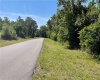 DEER ROAD, FROSTPROOF, Florida 33843, ,Land,For Sale,DEER,P4915288