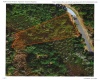 DEER ROAD, FROSTPROOF, Florida 33843, ,Land,For Sale,DEER,P4915288