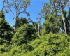 DEER ROAD, FROSTPROOF, Florida 33843, ,Land,For Sale,DEER,P4915288