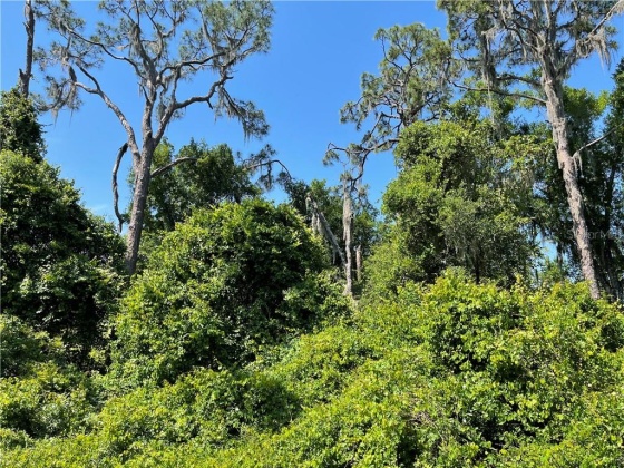 DEER ROAD, FROSTPROOF, Florida 33843, ,Land,For Sale,DEER,P4915288