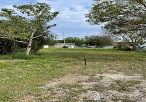 705 ADAMS AVENUE, DUNDEE, Florida 33838, ,Land,For Sale,ADAMS,P4919399