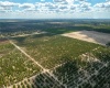 0 BUFFUM CHURCH RD, FORT MEADE, Florida 33841, ,Land,For Sale,BUFFUM CHURCH RD,L4928604